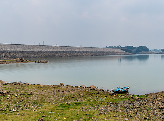 Ecosystem Restoration