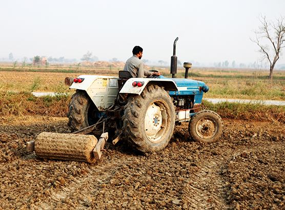 Livelihood
